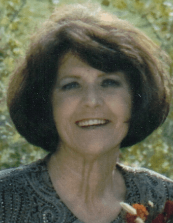 Pamela Marie (Hopkins) Wartick Obituary